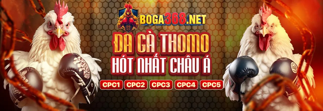 Giao diện xem trực tiếp đá gà ws168